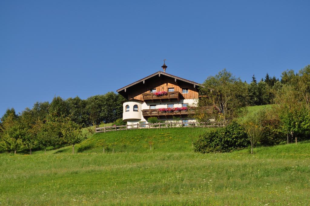 Haus Oberhaslach Apartment Abtenau Exterior photo