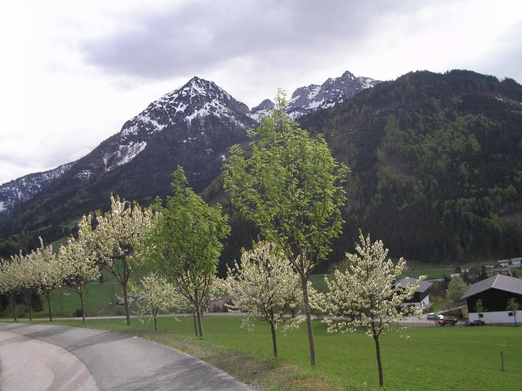 Haus Oberhaslach Apartment Abtenau Exterior photo
