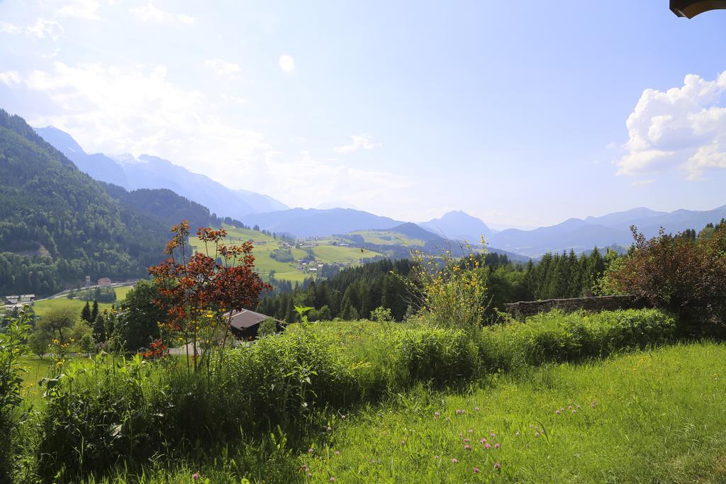 Haus Oberhaslach Apartment Abtenau Exterior photo